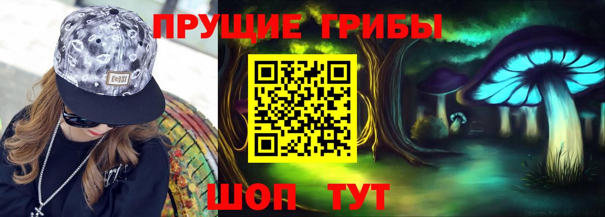 Ейск  Галлюциногенные грибы MAGIC MUSHROOMS  закладка  Вход с VPN 